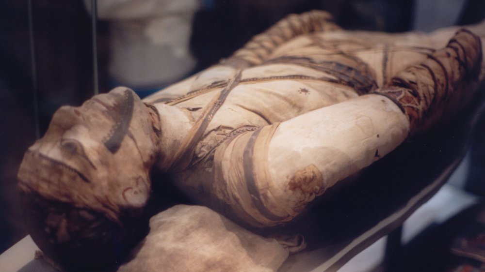 mummy at british museum
