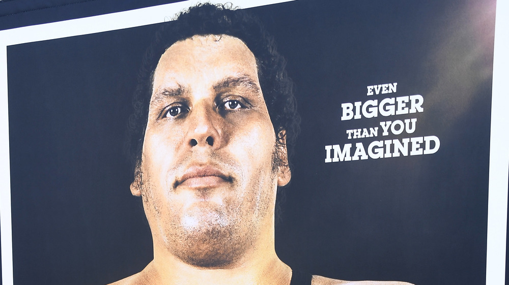 Andre the Giant