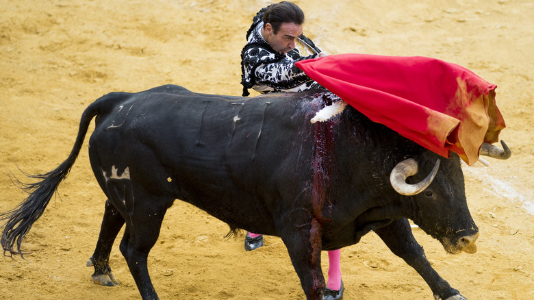 Matador and bull