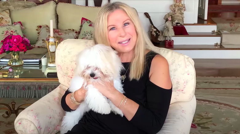 Barbra Streisand holding dog