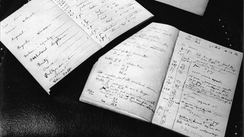 Marie Curie and Pierre Curie's journals