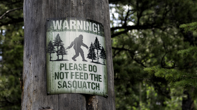 Warning do not feed the Sasquatch sign on tree