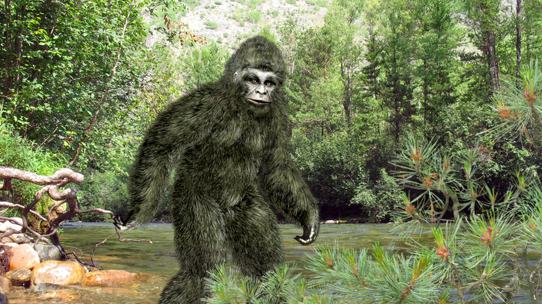 Artist's rendition of Bigfoot