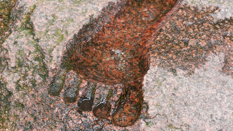 Watery footprint in granite 