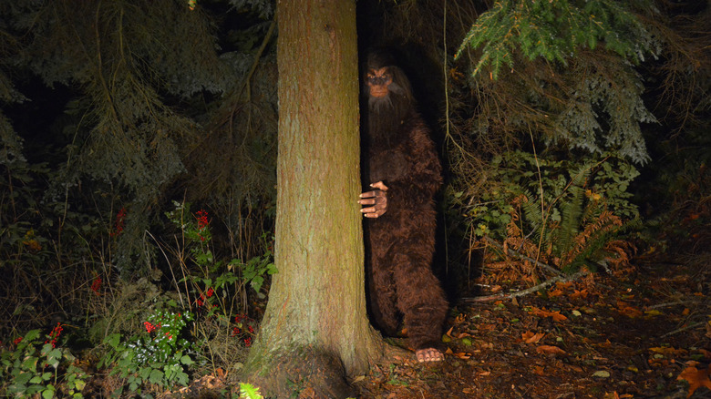 Person dressed up as a Bigfoot peering around a tree