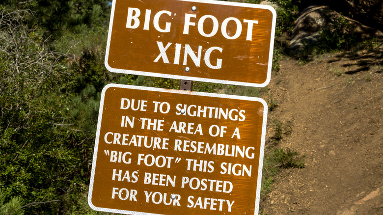 Road signs about Bigfoot sightings 