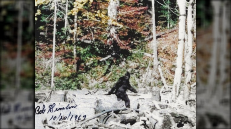 Frame from the most famous video of Bigfoot