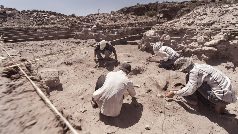 Archaeolgists dig egypt