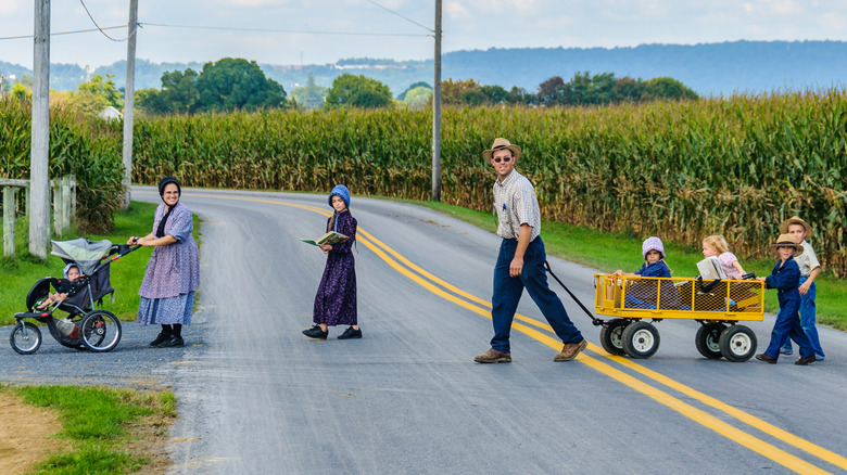 Amish family crossing the road
