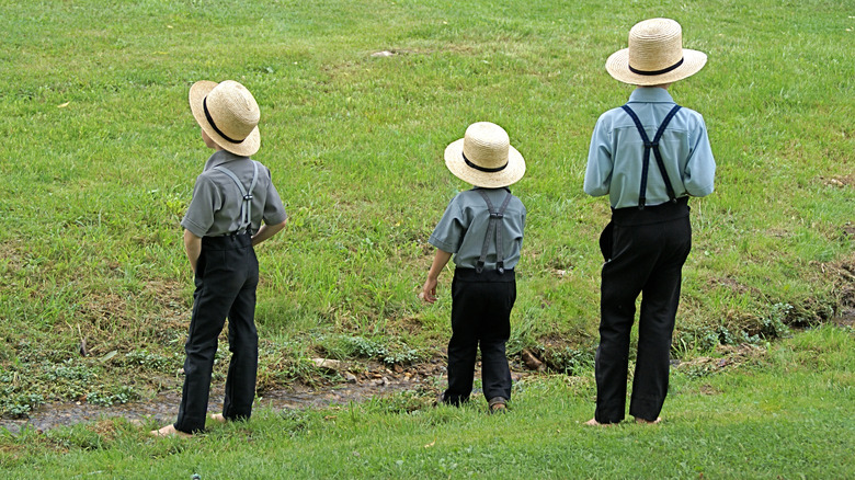 Amish boys in a field