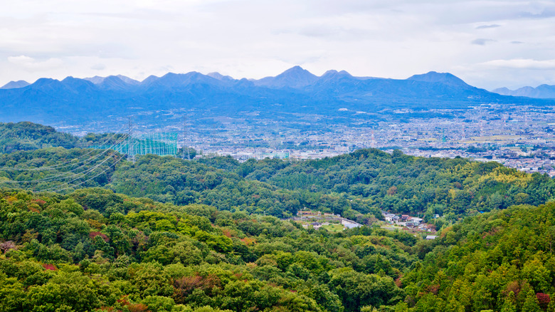 Gumma prefecture panorama